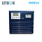 Lithion/ 3.0 KVA / Inverter/LE3000/24V