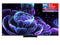 TCL TV 65 MINI-LED GOOGLE BLACK 65C835