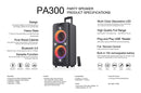 F&D AUDIO 100W SPEAKER BLACK PA300