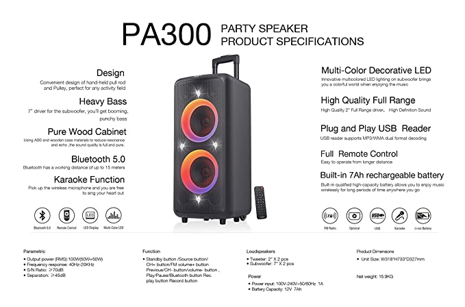 F&D AUDIO 100W SPEAKER BLACK PA300
