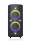 F&D AUDIO 100W SPEAKER BLACK PA300